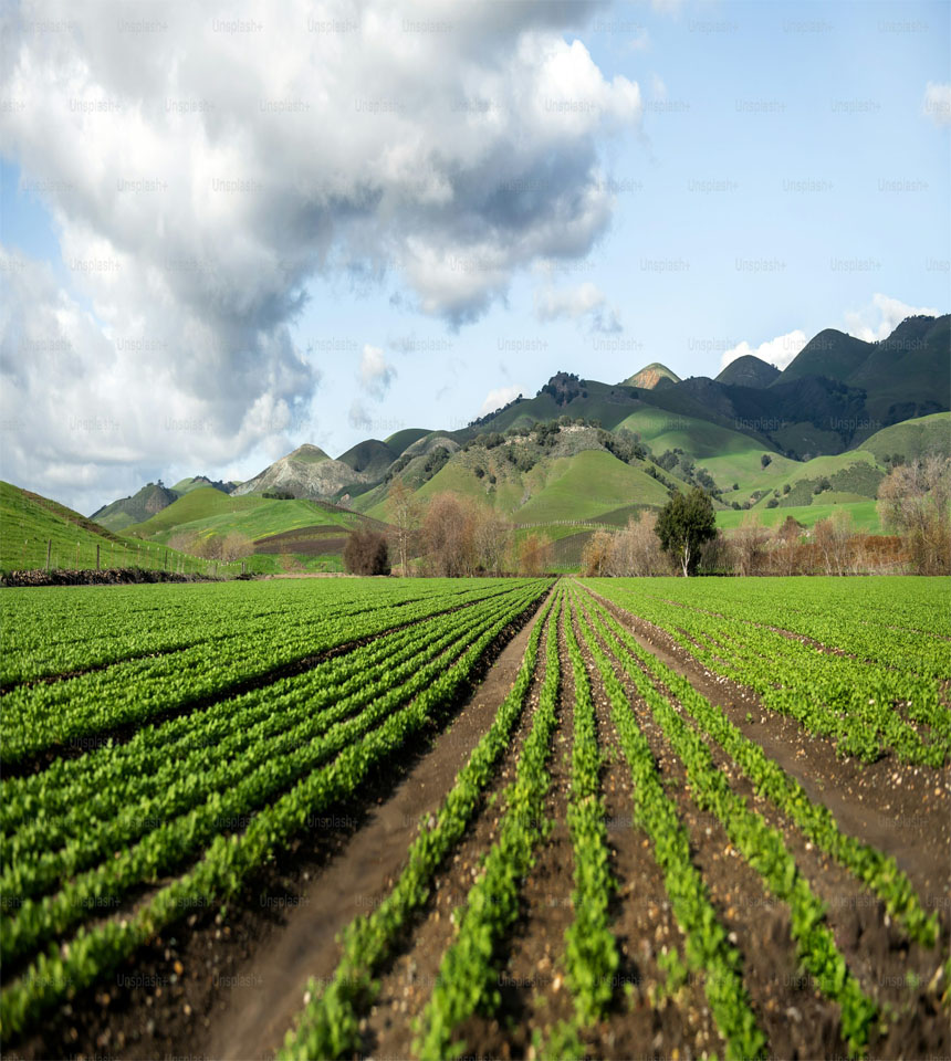 Excavator at Construction Site